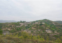 转让林地是否缴纳土地增值税税率
