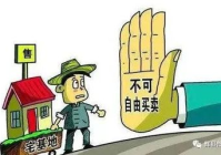 集体土地流转政策
