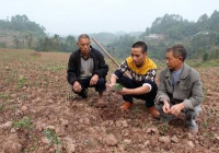 我家的土地被别人强占怎么解决打什么电话