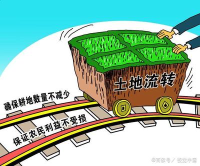 土地流转和土地转让