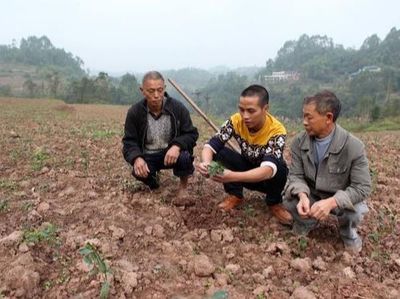 我家的土地被别人强占怎么解决打什么电话