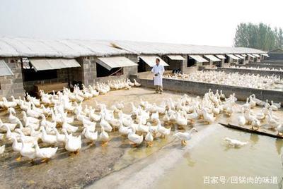 现在养殖业用地需不需要审批
