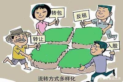 土地流转后土地是谁的