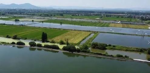 2020养殖占用基本农田违法吗