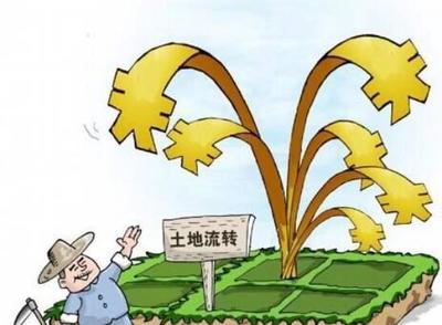 农村集体土地使用权流转中应注意哪些问题