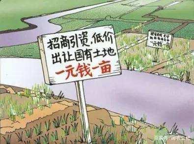 农村集体土地流转应注意什么问题
