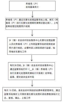2020年养殖用地申请流程