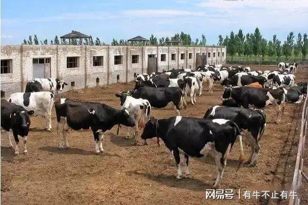 养殖业占用基本农田怎么办?