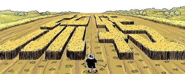 土地流转补偿标准2025年最新版