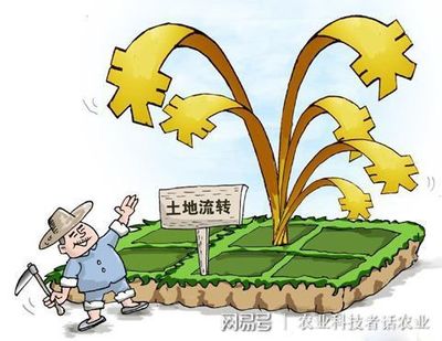 土地流转期限不得超过多少年以上