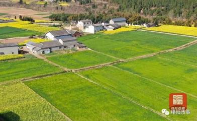 养殖用地可以占用基本农田了吗