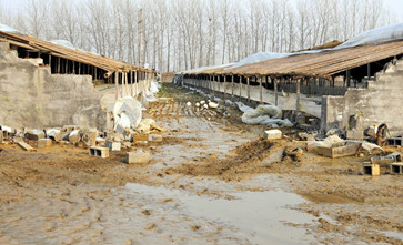 养殖用地的土地性质 养殖业
