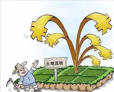 农村土地流转是什么意思?从什么时候开始?