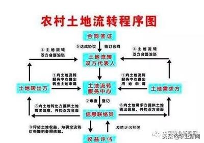 土地流转合同签订程序