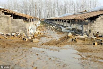 养殖用地能建住宅吗
