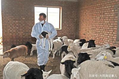养殖占地的最新规定2025百度知道