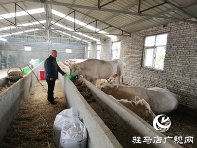 养殖业盖房子违法吗