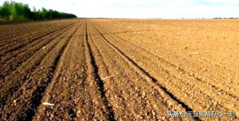 流转的耕地的使用规定