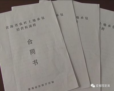 农村集体土地承包经营权流转合同