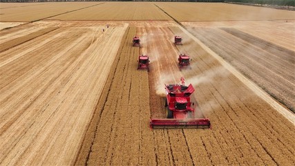 2026耕地全部收回吗最新消息