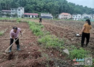 农村集体土地流转,村民怎么分配的