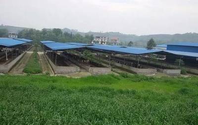 养殖场建设用地新政策