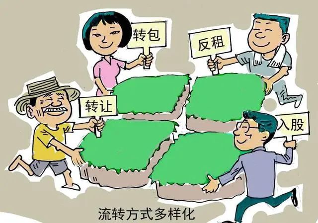 土地流转30年以后归谁