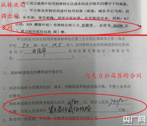 林地买卖的价格