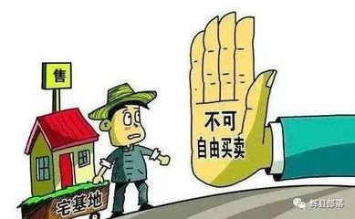 集体土地流转政策